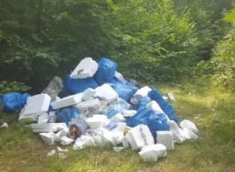 Śmieci w lesie pod Olsztynem